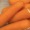 Náhled obrázku pro potravinu Baby carrots mrkvičky ...