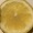 Náhled obrázku pro potravinu Citron syrový bez slupky