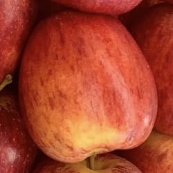 Náhled obrázku pro potravinu Jablka Gala se slupkou Malus domestica