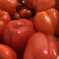 Paprika červená syrová (sladká) - nutriční (výživové) hodnoty, kalorie