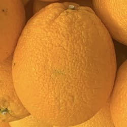 Náhled obrázku pro potravinu Pupečné pomeranče syrové Citrus sinensis