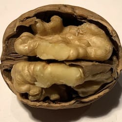Vlašské ořechy anglické (juglans regia) - nutriční (výživové) hodnoty, kalorie