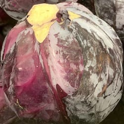 Zelí hlávkové červené  (brassica oleracea sk. Capitata) syrové - nutriční (výživové) hodnoty, kalorie
