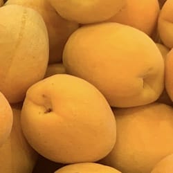 Apricots raw - nutritional values, calories