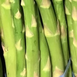 Asparagus (asparagus officinalis) raw - nutritional values, calories