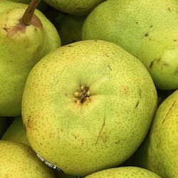 Bartlett pears aka Williams pears - nutritional values, calories