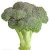 Broccoli stalks raw - nutritional values, calories