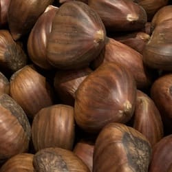 Chestnuts European (Italy) dried unpeeled (Castanea sativa) - nutritional values, calories