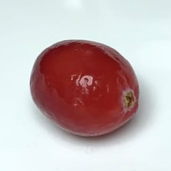 Cranberries raw - nutritional values, calories