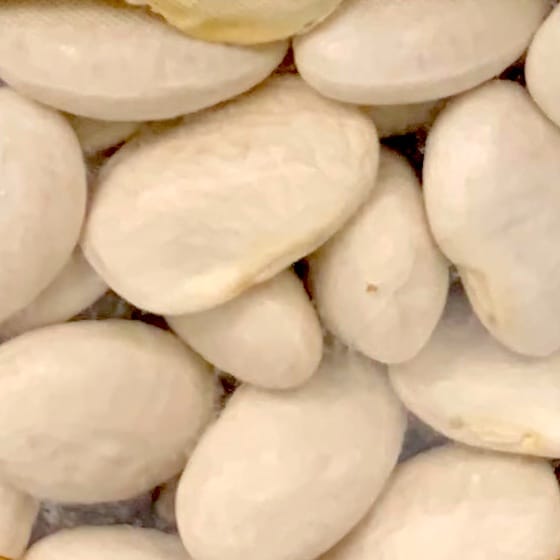Great northern beans raw - nutritional values, calories
