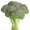 Thumbnail for the food item Broccoli stalks raw