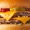 McDONALD'S Double Cheeseburger - nutritional values, calories