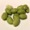 Thumbnail for the food item Boiled soybeans Edamame