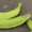 Thumbnail for the food item Raw green plantains Musa X ...