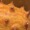 Thumbnail for the food item Horned melon or kiwano