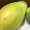 Thumbnail for the food item Papaya