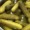 Low sodium sour pickles - nutritional values, calories