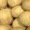 Thumbnail for the food item Potatoes white flesh and ...