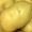Thumbnail for the food item Yukon gold potatoes