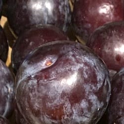 Thumbnail for food item Passion fruit Passiflora edulis granadilla purple raw