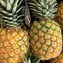 Raw pineapple all varieties - nutritional values, calories