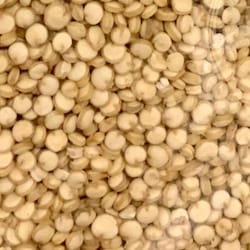 Thumbnail for food item Quinoa uncooked Chenopodium quinoa willd.