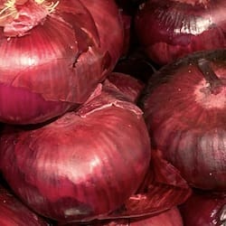 Thumbnail for food item Raw red onions Allium cepa