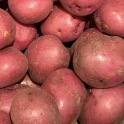 Potatoes red (solanum tuberosum) flesh and skin raw - nutritional values, calories