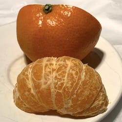 Thumbnail for food item Tangerines raw Citrus reticulata 