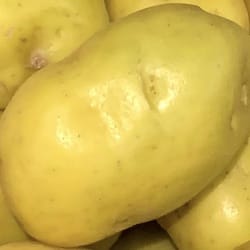 Yukon gold potatoes - nutritional values, calories