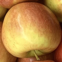 Náhled obrázku pro potravinu Jablka fuji se slupkou Malus domestica